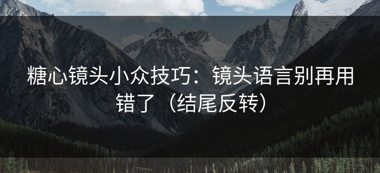 糖心镜头小众技巧：镜头语言别再用错了（结尾反转）